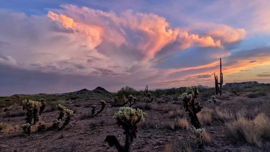 Sonoran Desert trail at golden hour in fall with saguaros and mountains